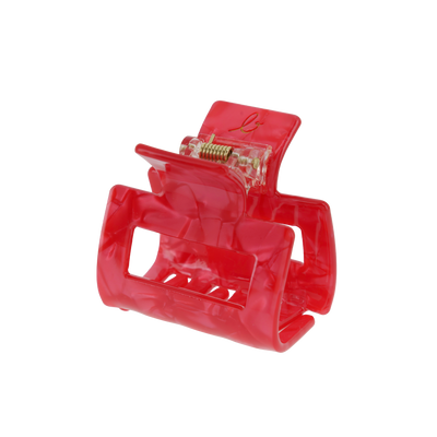 Petite Pince à Cheveux