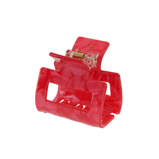 Petite Pince à Cheveux